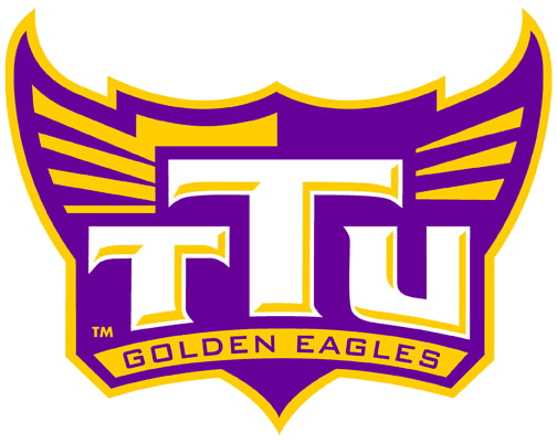 Tennessee Tech Golden Eagles 2006-Pres Alternate Logo t shirts DIY iron ons v6